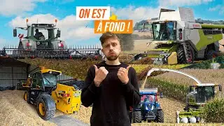 SEMAINE CHARG&Eacute;E : ENSILAGE DE MA&Iuml;S &Eacute;PI, MOISSON SARRASIN...