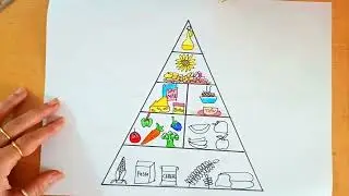 Food pyramid drawing step by step | How to draw food pyramid easy | Food chart drawing idea