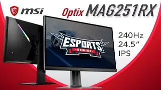 MSI MAG251RX &mdash; ЭТО ЛУЧШИЙ игровой монитор с IPS-матрицей 240 Гц?!