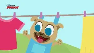 Bingo e Rolly - Canções Infantis: Bingo