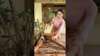 How to cook cassava cake recipe #shorts #shortvideo #cooking #food #recipe