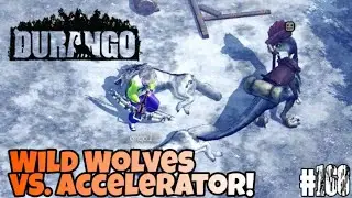 Snow Fields, Wolves, Colelophysis, Accelerators! Oh My! DURANGO Wildlands ep168 HD