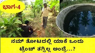 ತೆಂಗಿನ ತೋಟದಲ್ಲಿ ಸುವರ್ಣ ಗೆಡ್ಡೆ ಅರಿಶಿಣ ಶುಂಠಿ...ಹಾಕಿಕೊಂಡರೆ ಉತ್ತಮ ಲಾಭವಿರುತ್ತದೆ ಹಾಗೂ ತೆಂಗಿಗೂ ಔಷಧಿ ಗುಣಗಳು