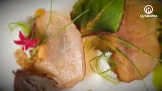 GASTRONOMÍA MOLECULAR