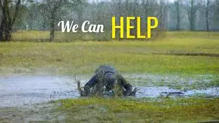 Water Damage Cleanup by Restoration Specialists