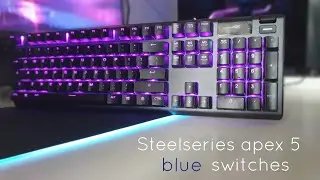 Steelseries apex 5 typing test