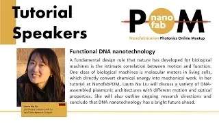 Functional DNA nanotechnology by Laura Na Lui