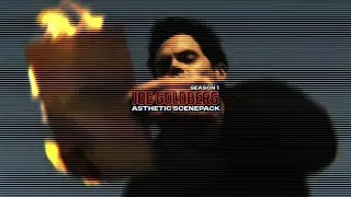 Joe Goldberg - Asthetic Scenepack - Season 1 - 4k 60FPS (No Audio)