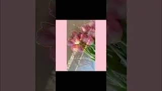 kung Sakali - jkid (short-sample-clip)