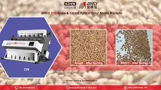 AMD® CY6 Grain/Cereal/Crop Optical Color Sorter/Sortex Machine Price for Wheat Seeds Sorting