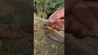 Detectorismo Revela Segredos Enterrados em Vale Antigo!