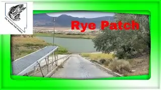 Rye Patch Team Open Launch Conditions