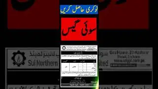 Jobs in Sui Southern Gas Company 2023 | Jobs in Sui Gas Department