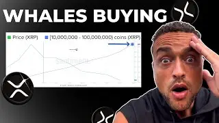 XRP: ВСЕ ПРОСТО ИЗМЕНИЛОСЬ!!!