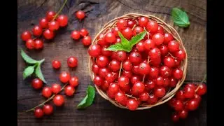 Harvest red currants. How to make juice and jelly.