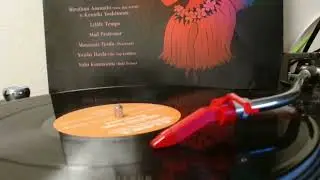 DJ Tsuyoshi / 真夏の果実 (Joujouka Remix)