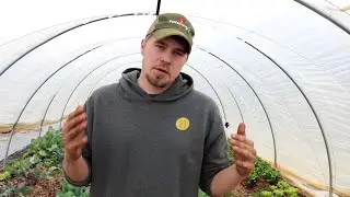 2020 PCG Farm Grant Submission by Casey Ostwinch for Honey Tree Farm