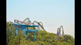Dragon being Removed at Ocean Park