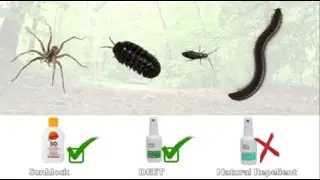 Contamination bias by insect repellents and sunblock -Ecological Methods II- Wageningen UR