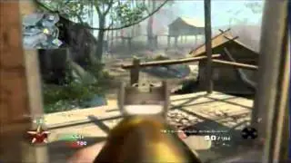 FFA on Jungle by Domo32197