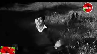 RAKH DIYA QADOOM MAIN DIL NAZRANA  - AHMED RUSHDI - FILM DIL MERA DHARKAN TERI