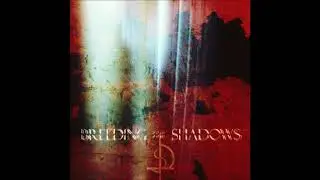Breeding The Shadows - Eternal Silence