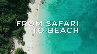 From SAFARI to BEACH - One UNFORGETTABLE Journey - Create your dream trip with Arusha Trips