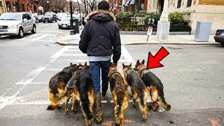 Man Walks His Dogs Every Morning, Until People Discover He is Hiding an Unbelievable Secret!