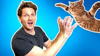 NEW VLOG Sean Renzetti Youtube Channel OFFICIAL Surprise Cat Video!