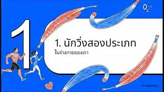 ขุมพลังความทนทาน  กล้ามเนื้อสีแดง
