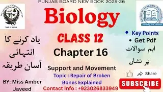 12th Class Biology | Chapter 16 Support and Movement | Repair of Broken Bones Explained