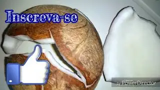 COMO TIRAR COCO SECO DA CASCA!! FÁCIL FÁCIL!!