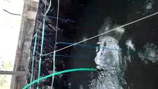 The RAS Fisheries Project are Completed and Successful.