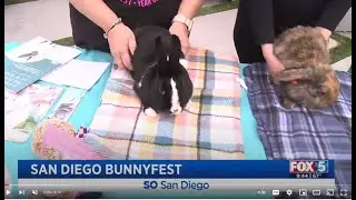SDHRS Bunnyfest on Fox 5 San Diego - 09/19/2023