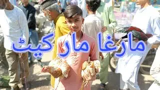 Lalukhet Morgha Market 17_02_2025 Farhan Birds Youtube channel