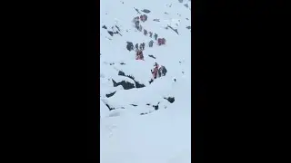 Hikers Rescued From Mount Everest