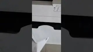 When A Dog Dies In A Movie, Its Personal.