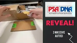 PSA/DNA reveal! FINALLY! Ted Williams, Ken Griffey Jr, and Pedro Martinez autographed baseball cards