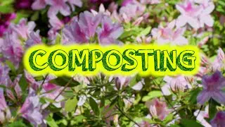 NC Cooperative Extension Master Gardeners  - Composting