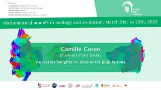Ancestors' genetic weights in biparental populations