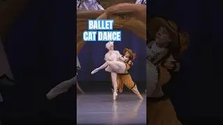 A Ballet Cat Pas de Deux #ballet #sleepingbeauty