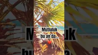 Sade, sıcak ve huzurlu &mdash; tam bizlik ☕❤️ 🌴 #shorts #&ccedil;aykeyfi #ailevlog #doğahuzuru #vlogshorts