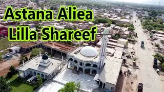 Astana Aliea lilla shareef