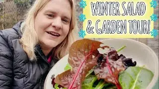 Growing salad and veggies in Winter, can it be done???
