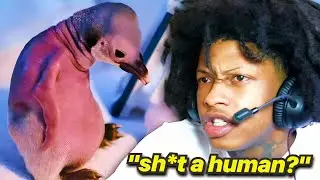 Regtoofunny Discovers Top 15 Hairless Animals!