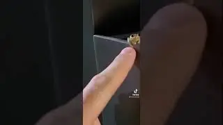 frog with the tiniest fingers