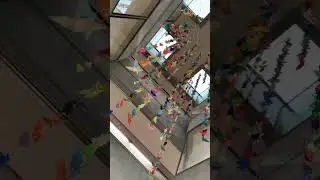 Students made 1000 #origami cranes as a prayer of #hope during this pandemic #japan #shorts #life