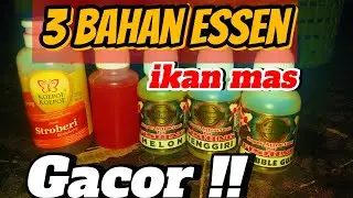 Oplosan essen ikan mas oroma buah melon terbaru !!