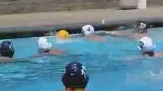 A&F TV Water Polo