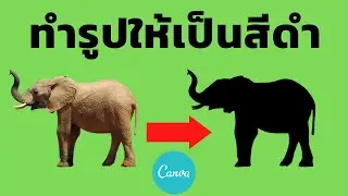 ทำรูปให้เป็นสีดำ ด้วย Canva | [Control C]